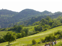 Osservatorio naturalistico Valmarecchia Oasi Montebello Torriana RN