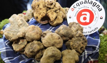 Fiera nazionale tartufo bianco Ott / Nov 2016