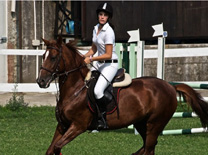 Sport equitazione