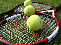 Sport tennis