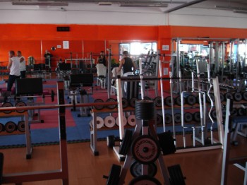 Universum Klub Palestra