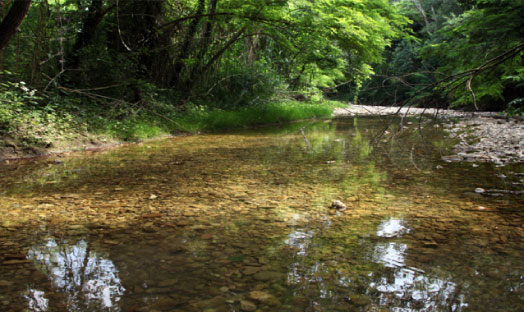 Parco del Marano Coriano RN