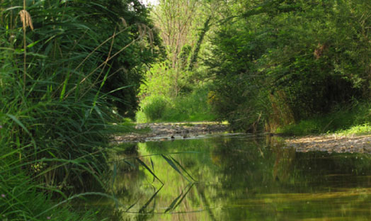Parco del Marano Coriano RN