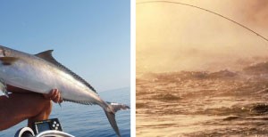 Sport Pesca 