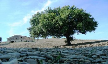 Comune di Montecalvo in Foglia PU